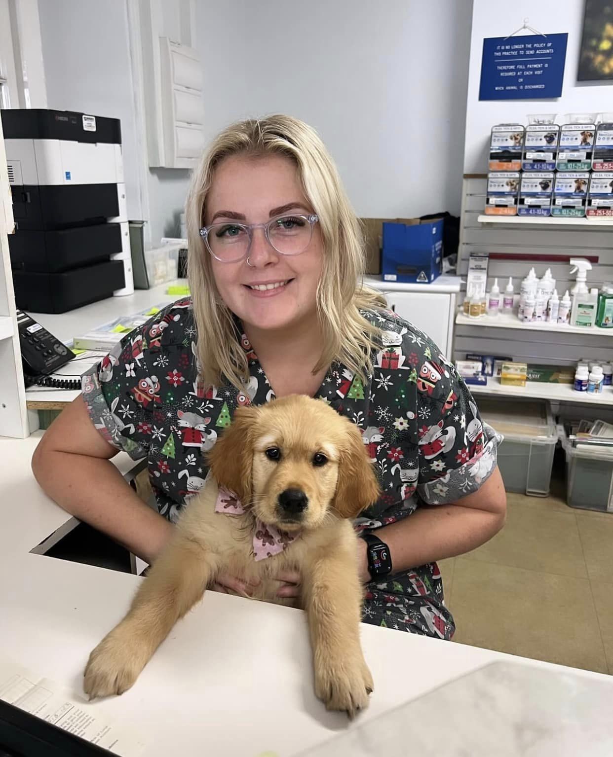 The BEST Vets in Thornton NSW 2322 Thornton Veterinarians
