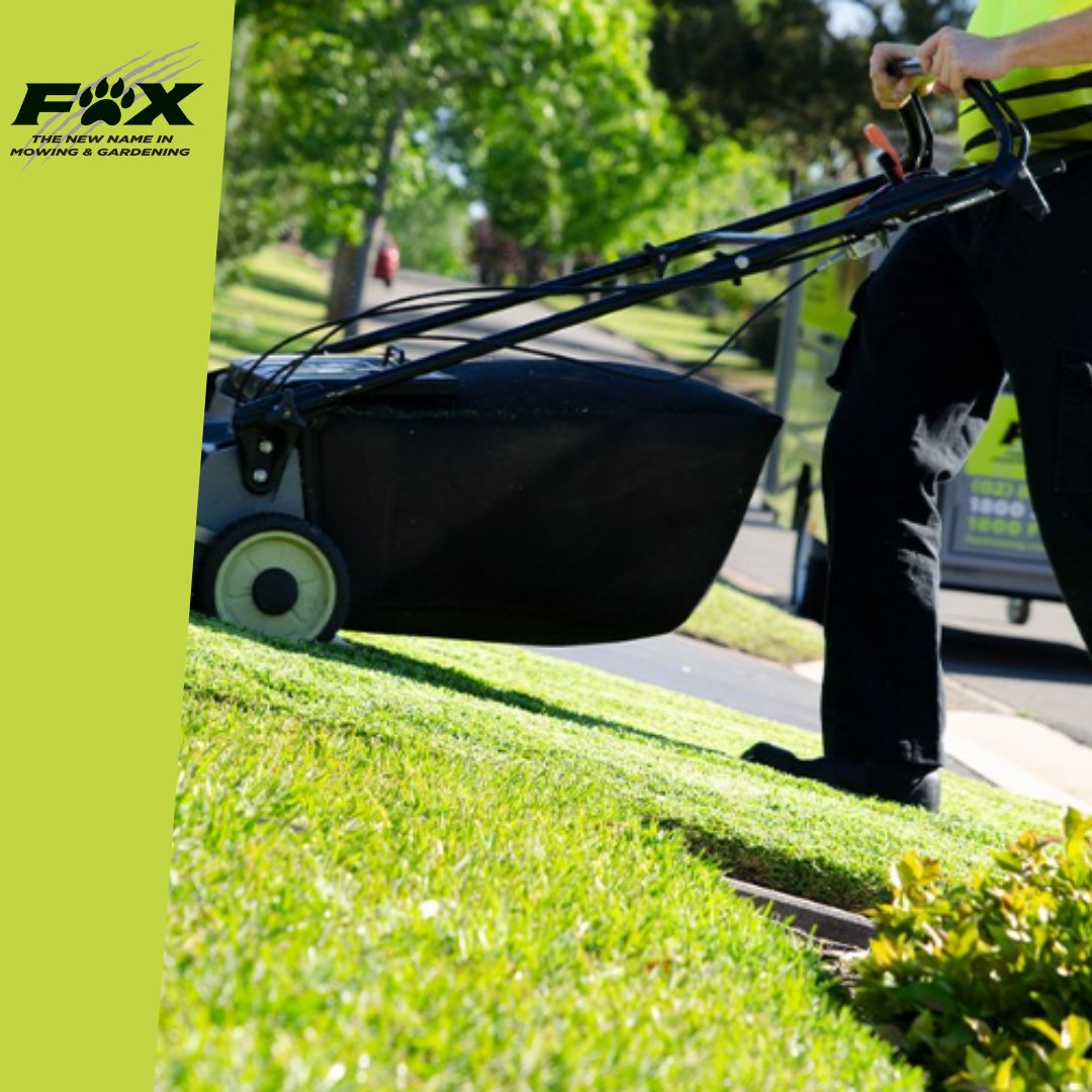 10 BEST Lawn Mowing Services in Westcourt QLD 4870 Localsearch