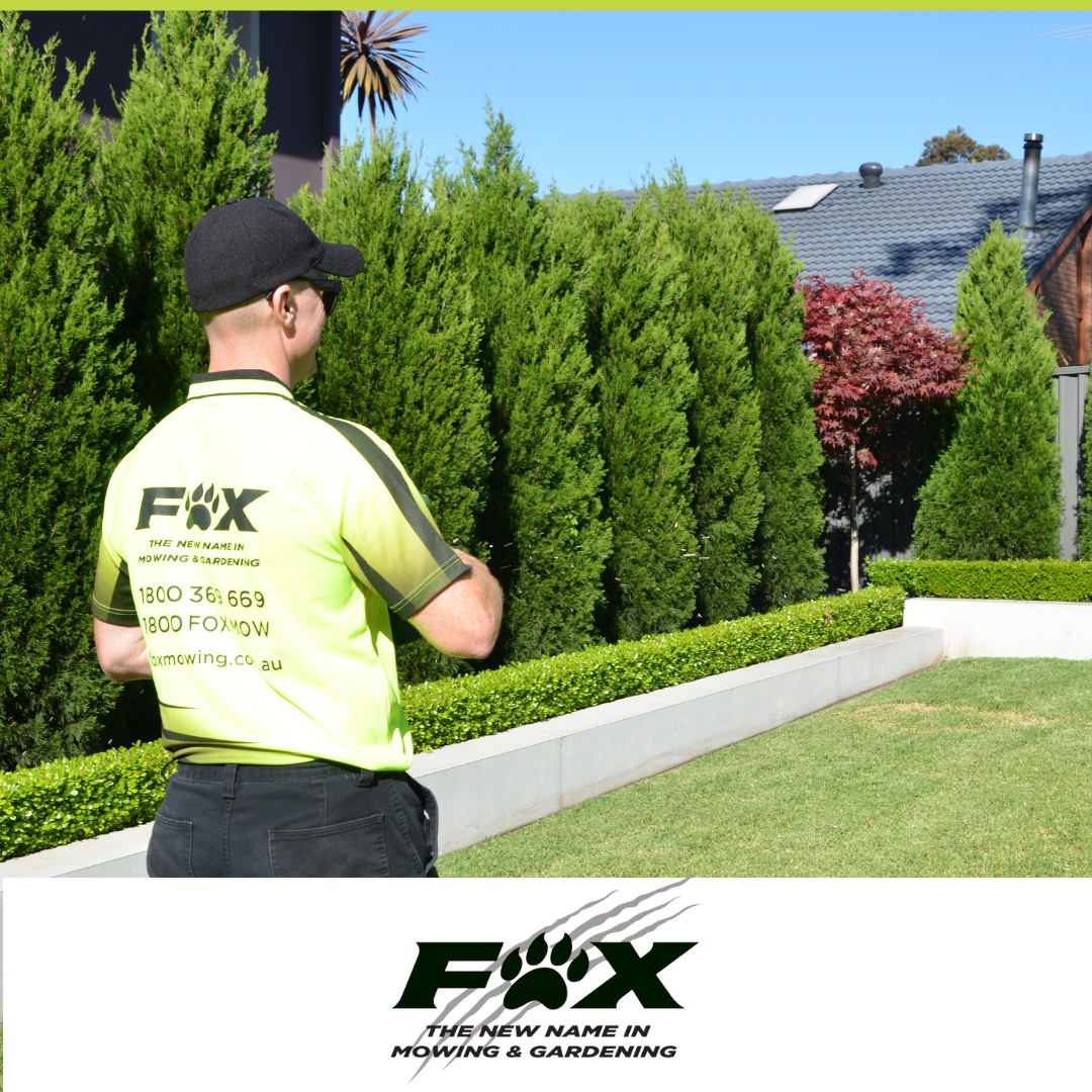 10 BEST Lawn Mowing Services in Toowoomba QLD Localsearch