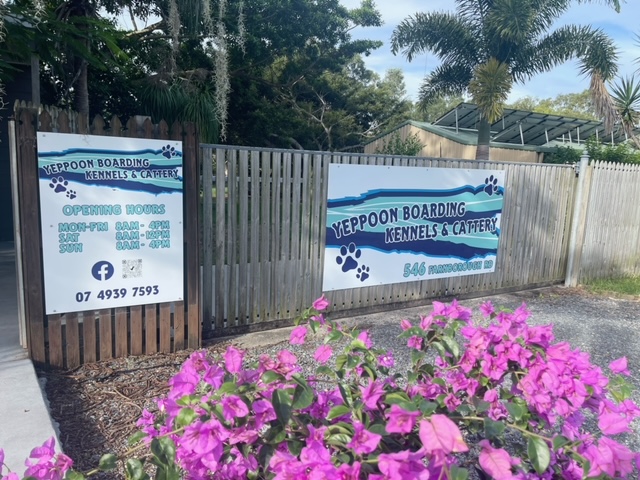 The BEST Cat Boarding Catteries in Yeppoon QLD 4703 Localsearch