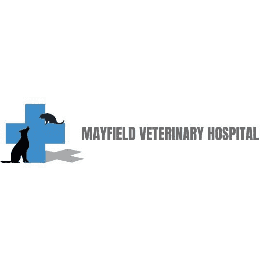 10 BEST Vets in Hamilton NSW 2303 Hamilton Veterinarians