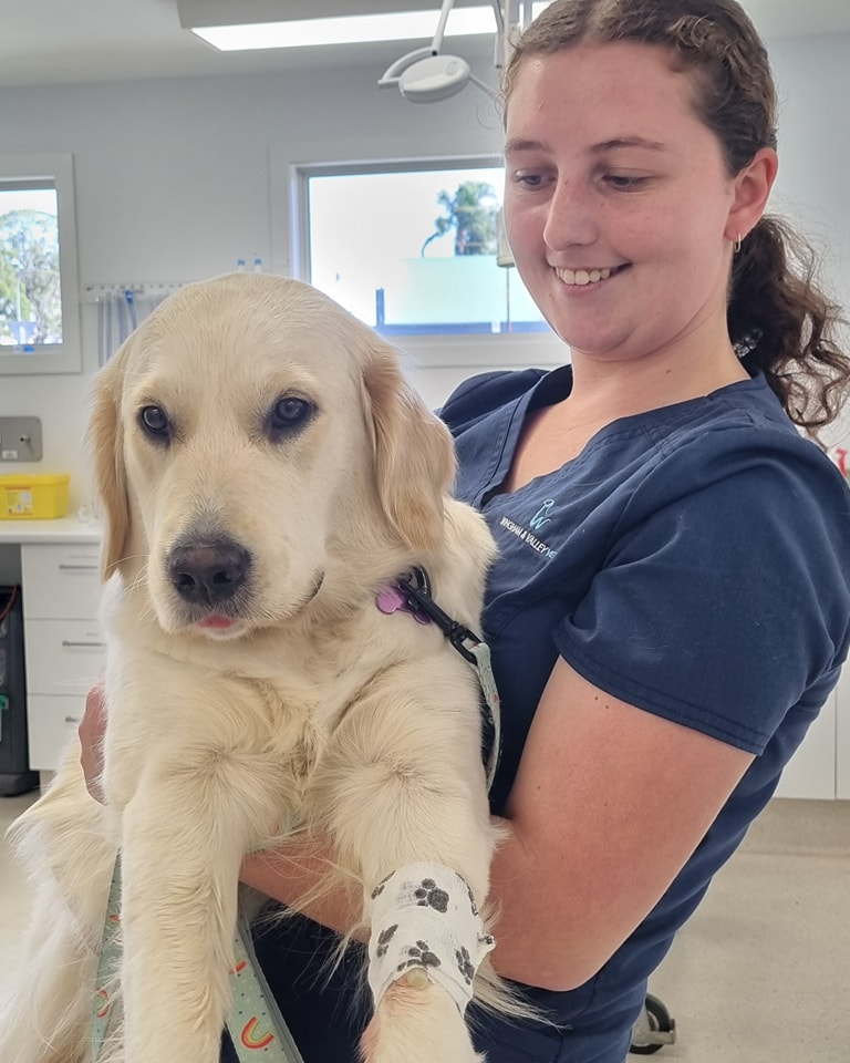 10 BEST Vets in Tuncurry NSW 2428 Tuncurry Veterinarians