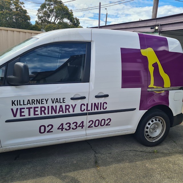 10 BEST Dog Grooming in Central Coast NSW Localsearch