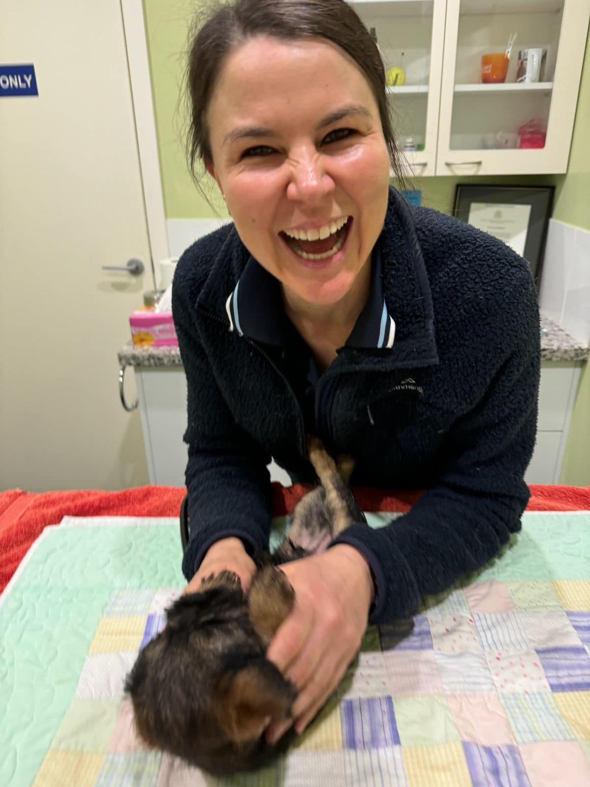 10 BEST Vets in North Boambee Valley NSW 2450 North Boambee