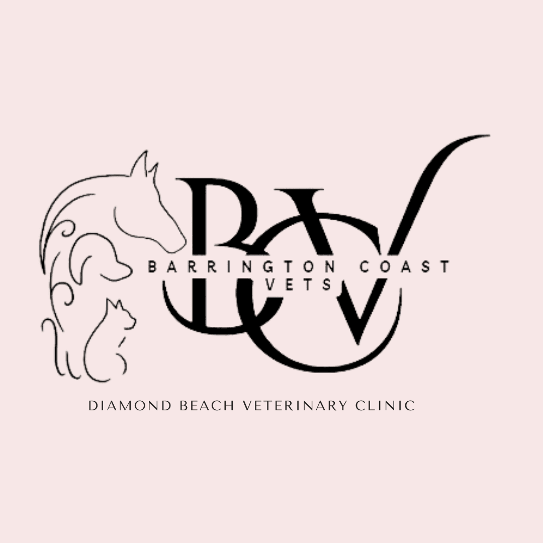 10 BEST Vets in Harrington NSW 2427 Harrington Veterinarians