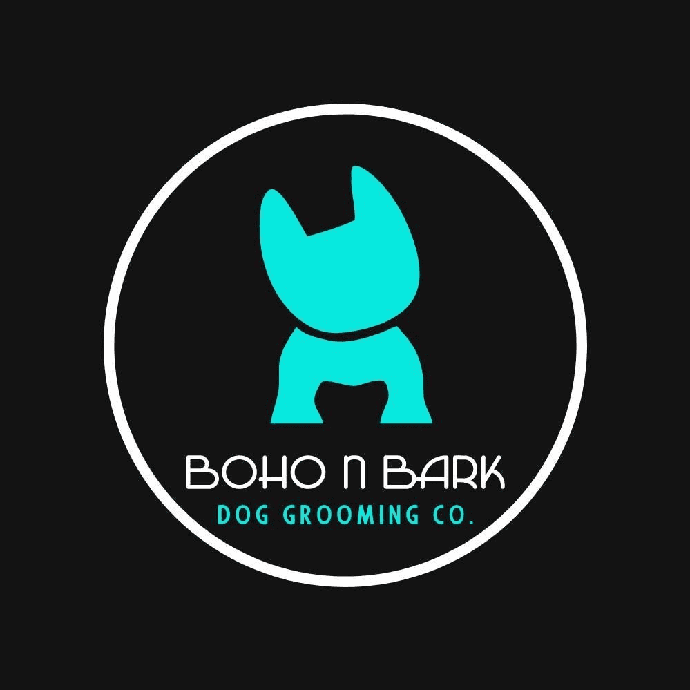 10 BEST Pet Clothing Accessories in Sunshine Coast QLD Localsearch