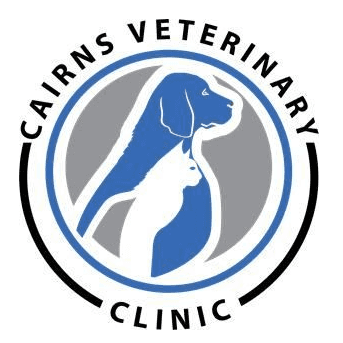 10 BEST Vets in Trinity Beach QLD 4879 Trinity Beach