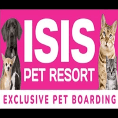 The BEST Dog Boarding Kennels in South Kolan QLD 4670 Localsearch