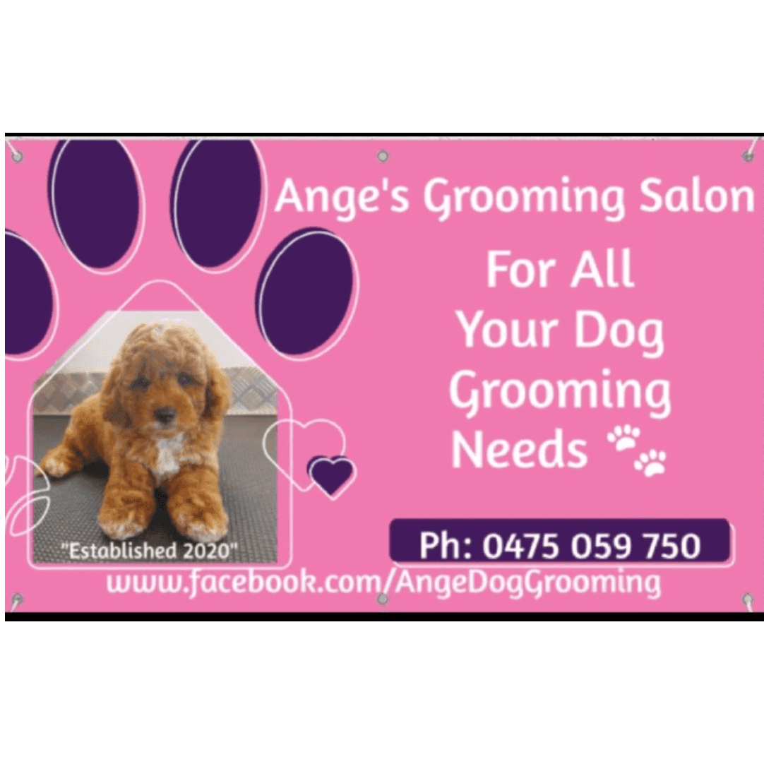 10 BEST Pet Care in Dulguigan NSW 2484 Localsearch